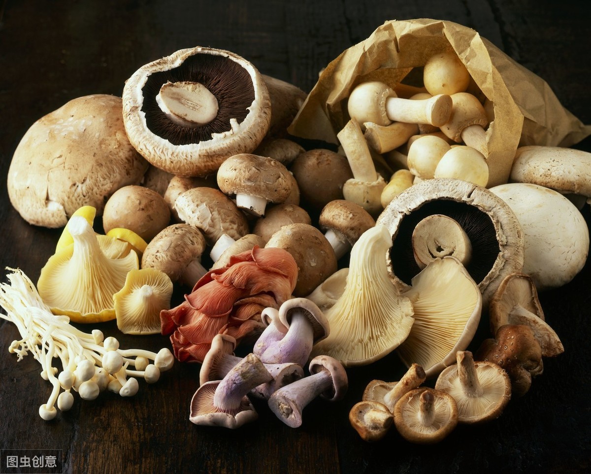 蘑菇怎么做好吃,蘑菇怎么做好吃又简单