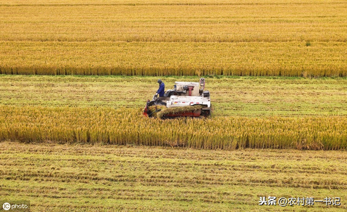 农村土地承包经营权转让合同怎么写？附参考范本