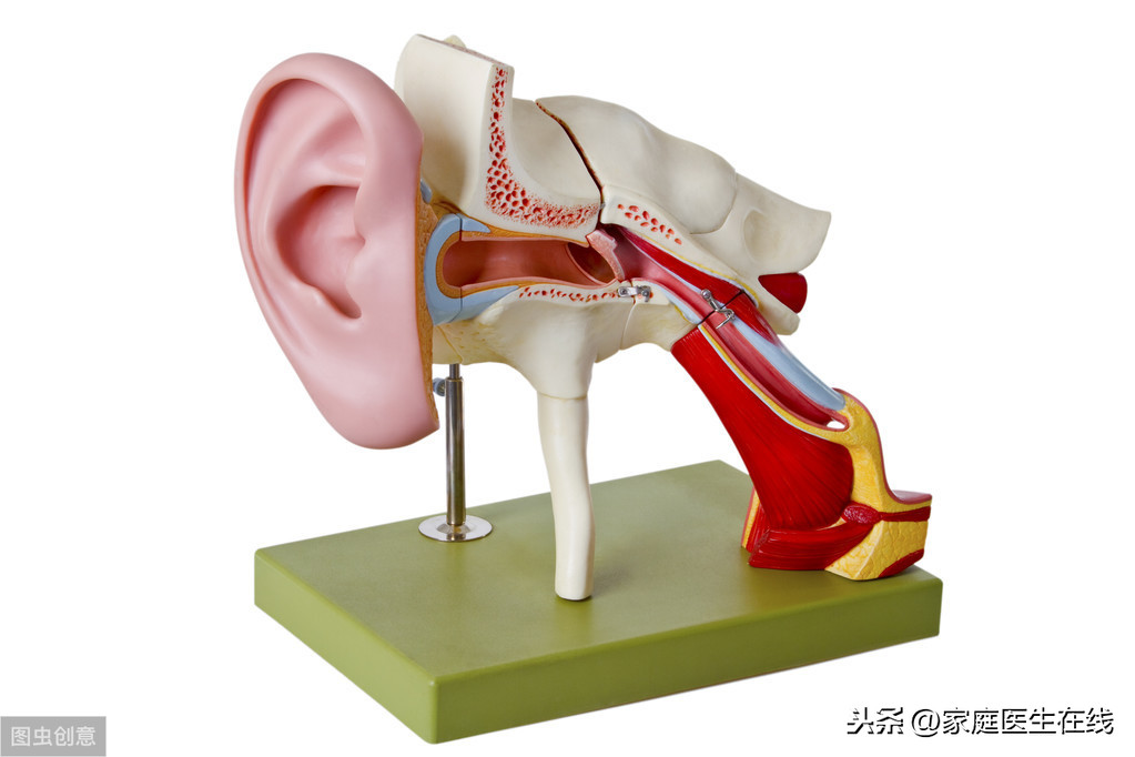 如果鼓膜穿孔，有什么后果？要保护好耳朵