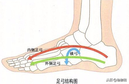 什么是扁平足？足弓是人体根基，常见的扁平足应该得到更多关注