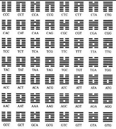 一位中国院士临终前的告诫，被质疑6500年的《易经》其实是超科学