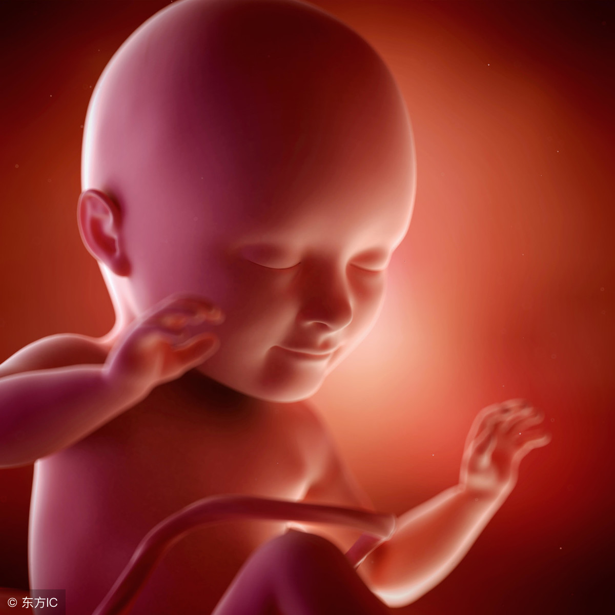 30周的胎儿从外观看就是一个小人了,有的早产宝宝生下来还有生存的