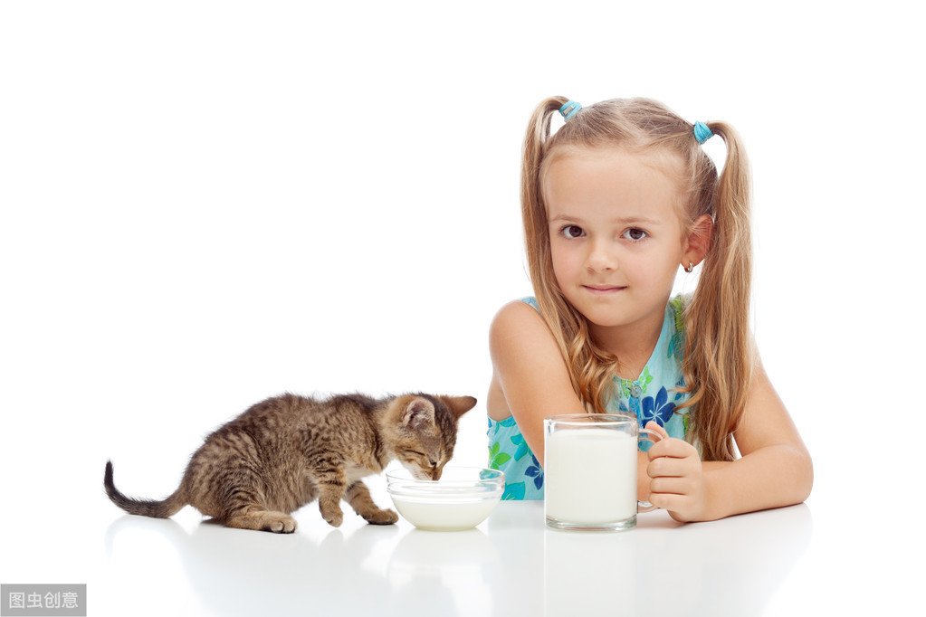 猫与酸奶的邂逅：退一步是爱情，进一步是毒药