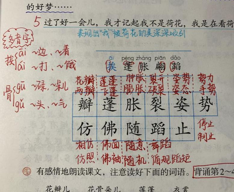 三年级语文《荷花》，老师整理精华知识点，孩子学习有效率！