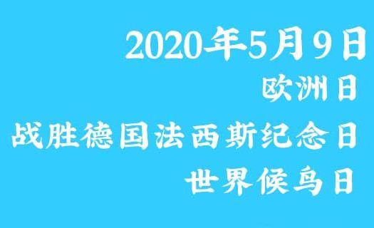 五月有什么节日（知识科普五月份的节日大全）