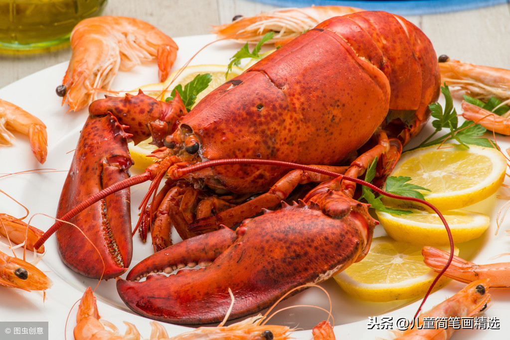 儿童简笔画精选-如何画一只龙虾（Lobster）