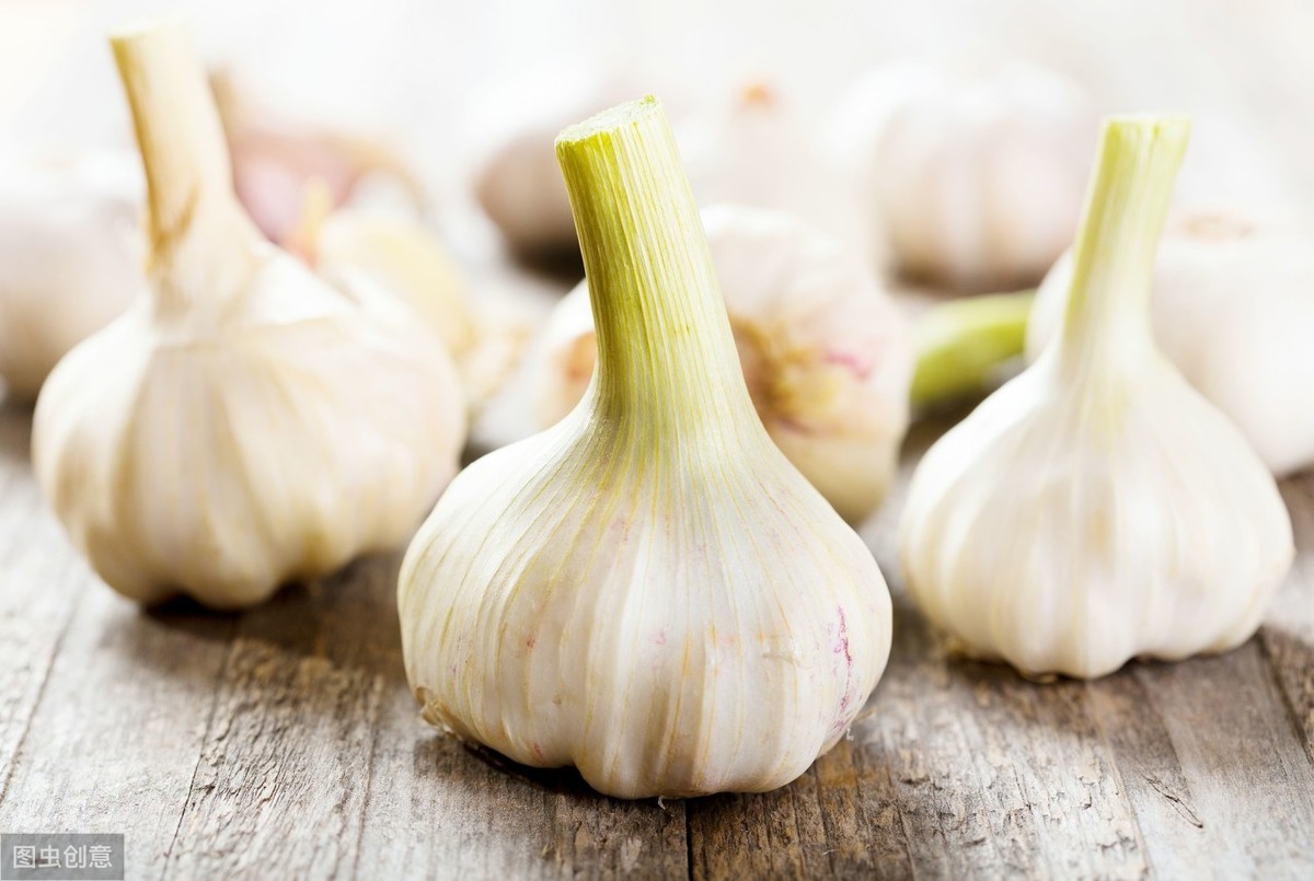 15秒记一个单词（第724个）garlic