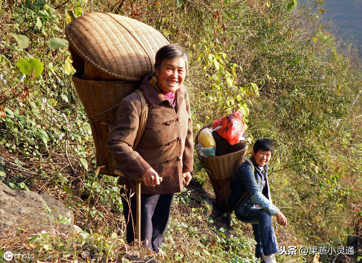 俗语“戌时不贪食，子时莫恋色，卯时切喝酒”啥意思？能做到吗？