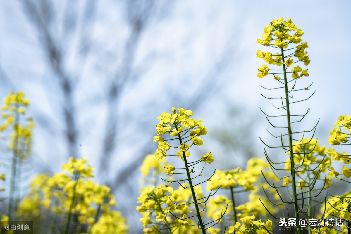 大地遇诗人4期 | 纪念海子：大地是我死后爱上的女人