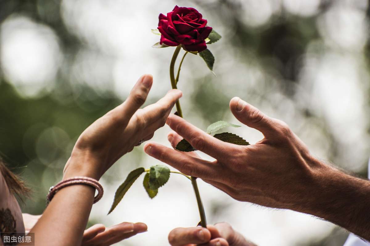 赠人玫瑰,手留余香,温暖总是相伴人间
