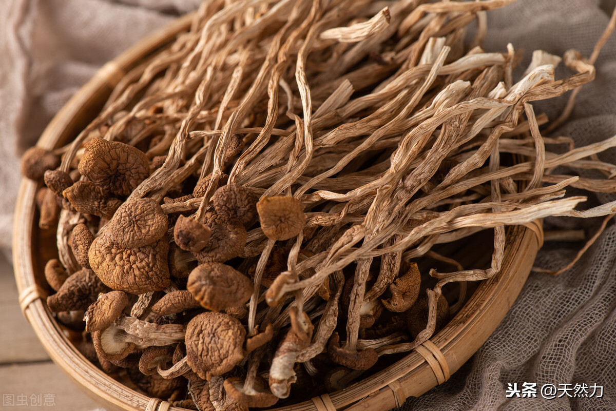 茶树菇泡多长时间最好（教你正确的泡发茶树菇）