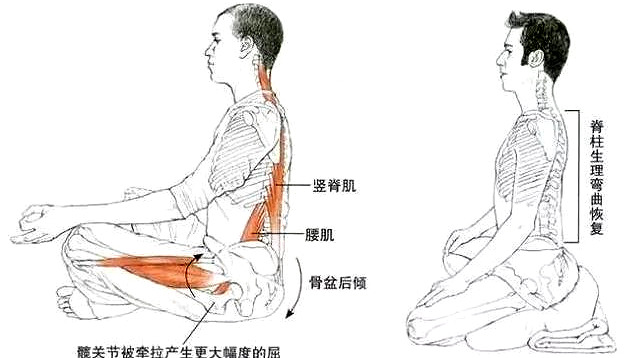 打坐的正确方法图片(打坐的正确姿势——坐姿，基本功扎实，快速体验静态健身)