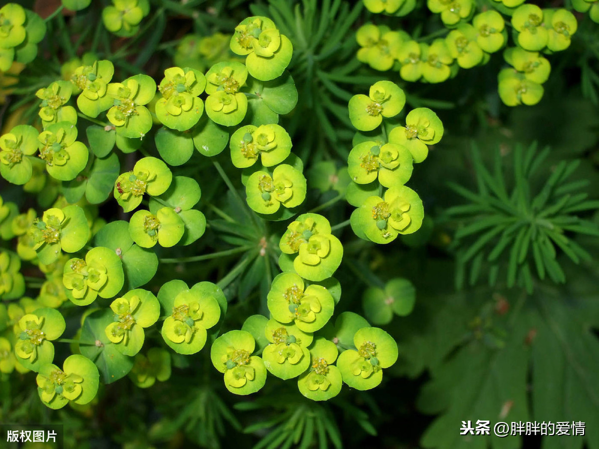 世间浮华，皆如行云流水；只愿于人世深处，做一个清风朗月的人