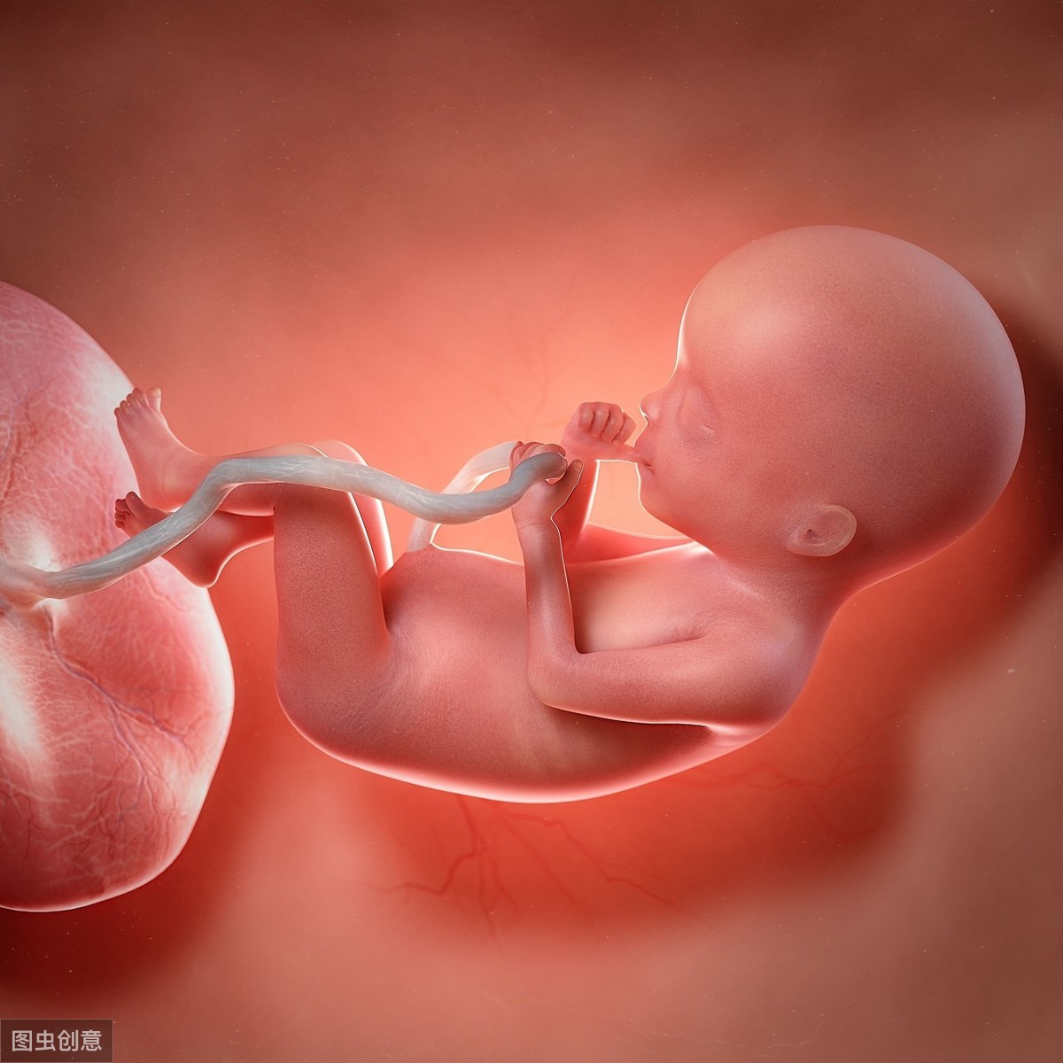 从这个孕周开始要做胎心监护，五个问题带你了解“胎监”，别大意