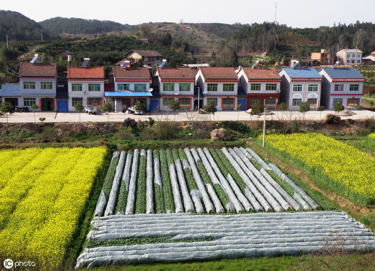 农村户口没有宅基地，如果动迁给补偿吗？
