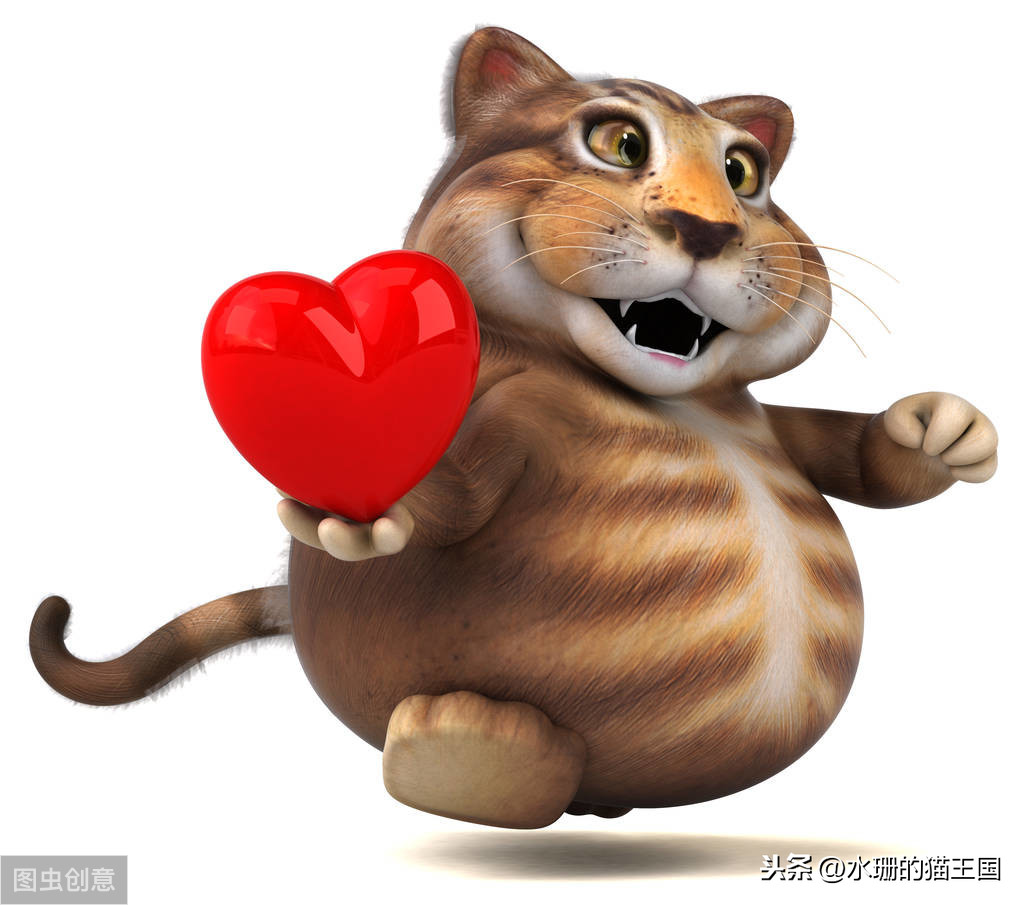 1-9岁的家猫中有21%的猫心脏有杂音？猫咪得了心脏病吗？怎么治？
