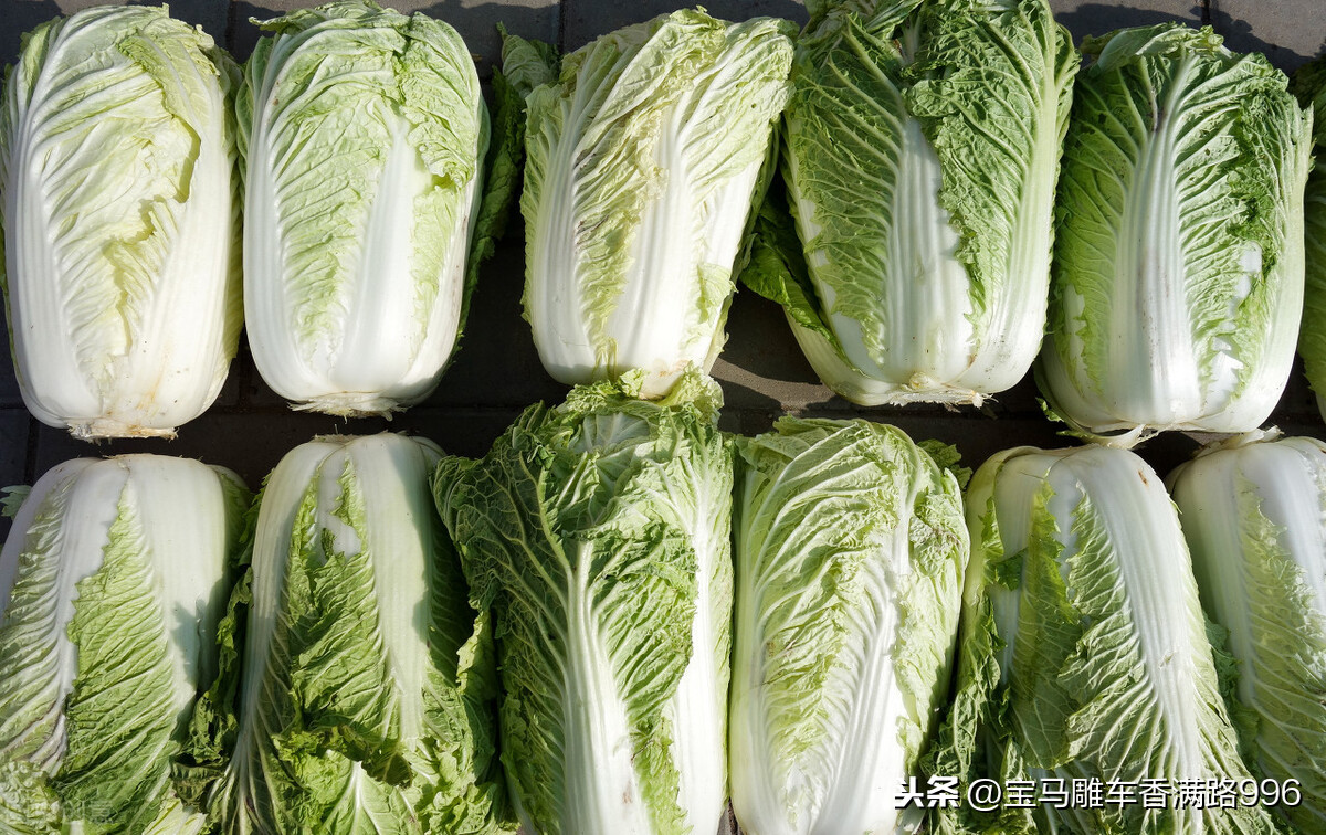 做法简单、口味酸爽的东北“酸菜”，喜欢的话赶紧动手吧？