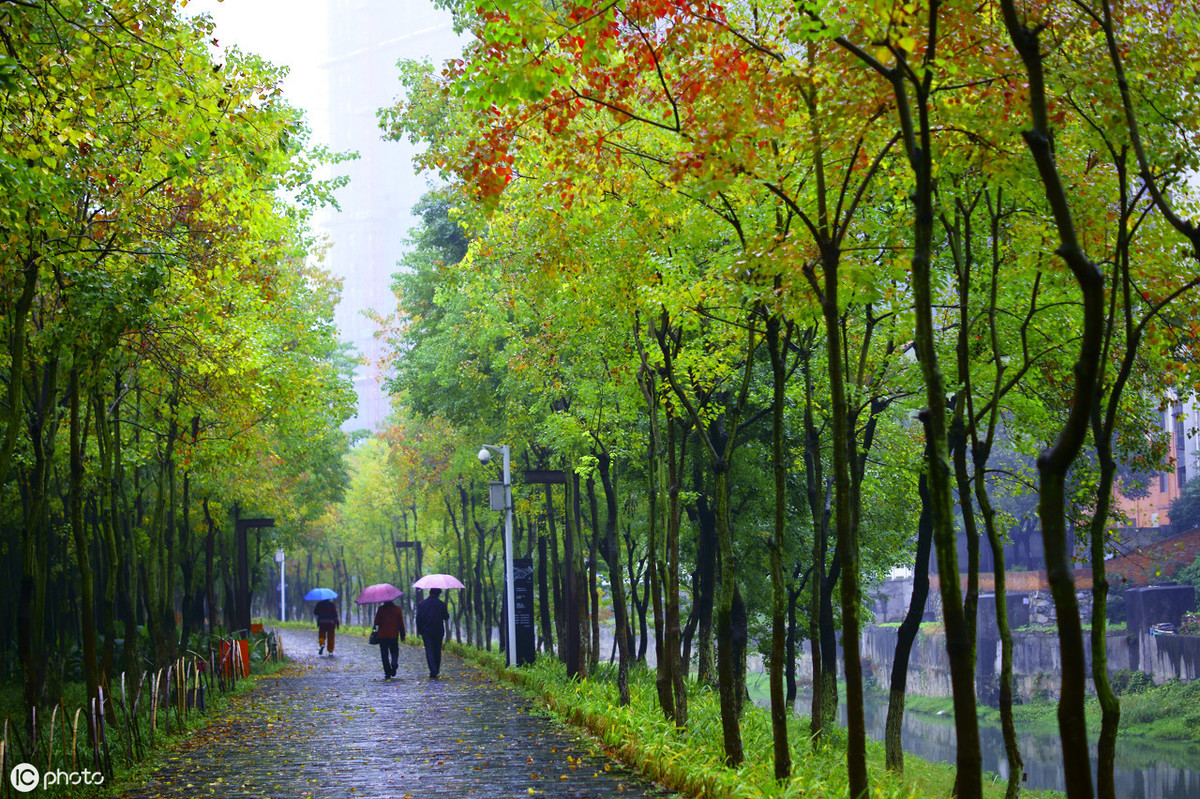 夜读：秋风送凉，大雁南飞