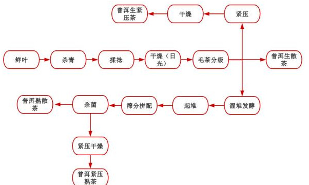 普洱茶制作工艺流程（1张图告诉你普洱茶制作流程）