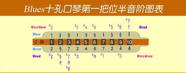 37键口风琴指法入门图片