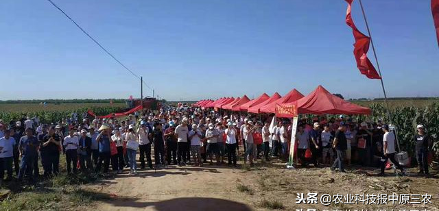 規(guī)模盛大！第二屆華北農(nóng)機(jī)地頭展在中國龐口成功舉行