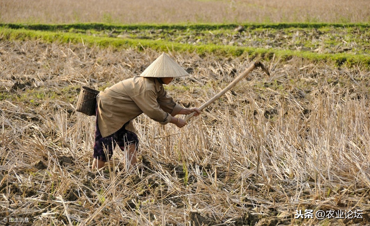 今年耕地占用税的征收范围主要在哪里？需要每年都交吗？