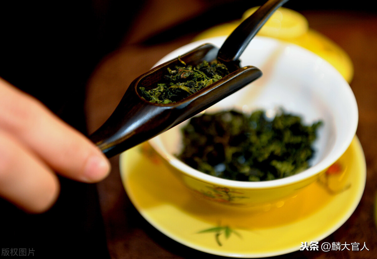 烏龍茶屬于什么茶,烏龍茶屬于什么茶紅茶還是綠茶