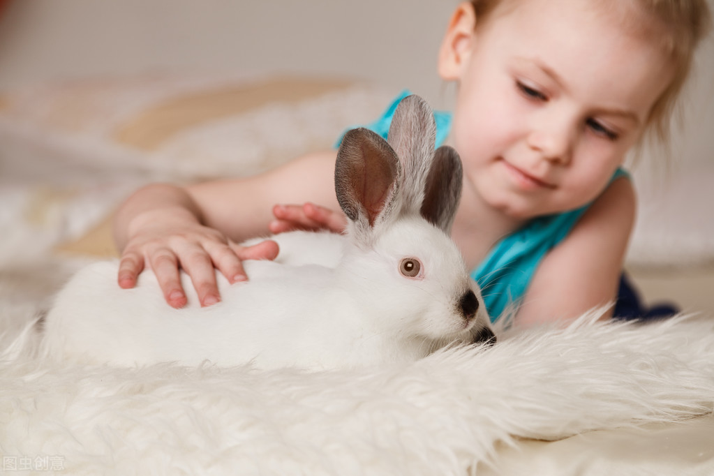 每天将给孩子的儿童安全教育小故事之聪明的小白兔