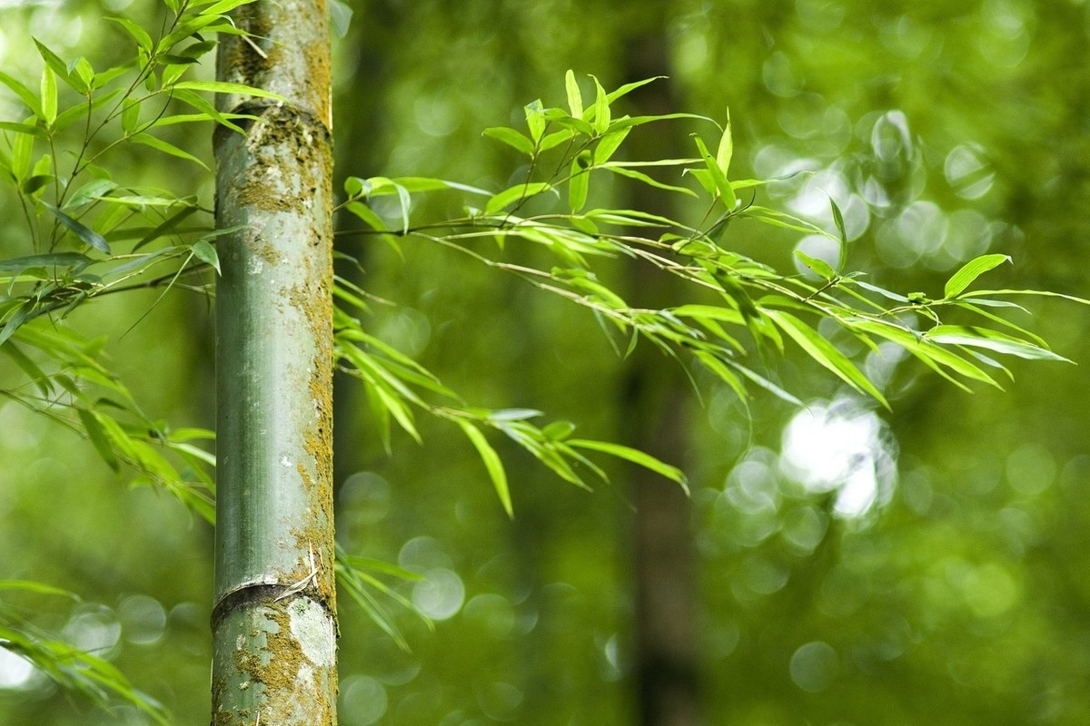 茶联中的人生哲理，句句妙趣横生，耐人寻味