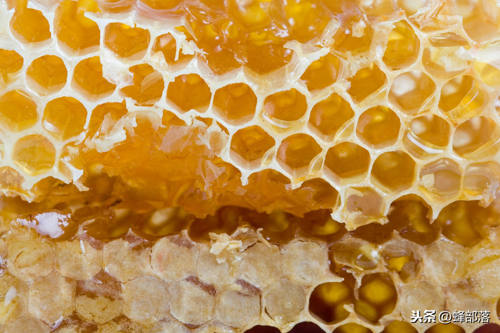 蜂巢蜜也被质疑是假的？蜂巢蜜假的可能有多大？答案来了