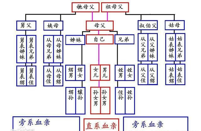 女生叫你达令是什么意思含义(涨知识！祖宗十八代称呼大全，看看你叫得上来多少，值得收藏)