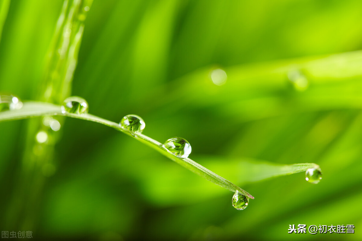 關於二十四節氣中雨水的美文(二十四節氣的美文段落) _晶羽文學網