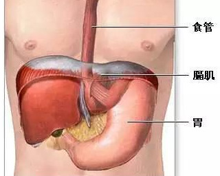 因胃痛来诊，查出肺癌——医生提醒：有些胃痛，不一定真是胃病！