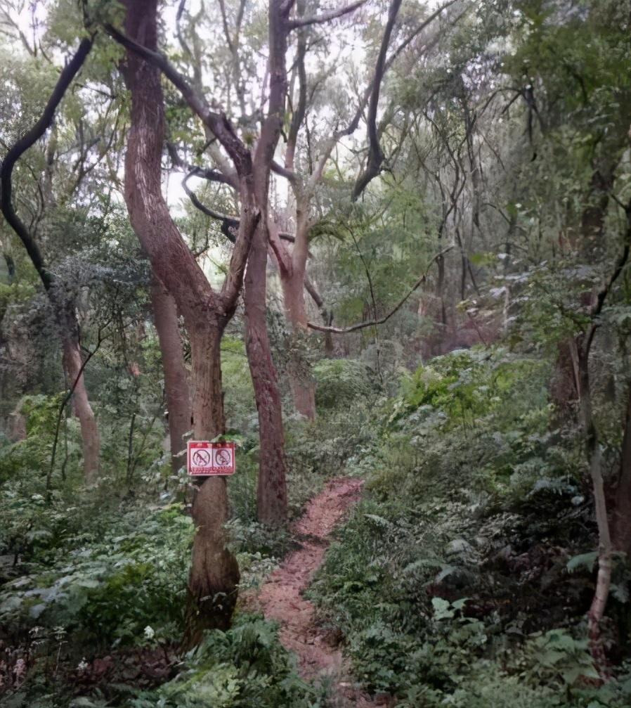 中国灵异事件真实案例：杭州馒头山鬼屋