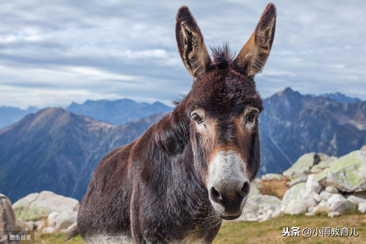 迷信到底有没有道理，孕妇们应不应该遵守？