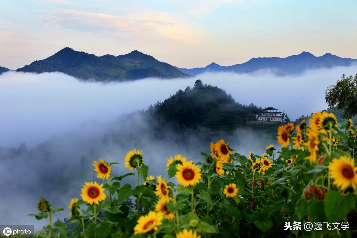 「赏析」 李靓才‖芳草斜阳侵古道，石牛屐旅上陌头