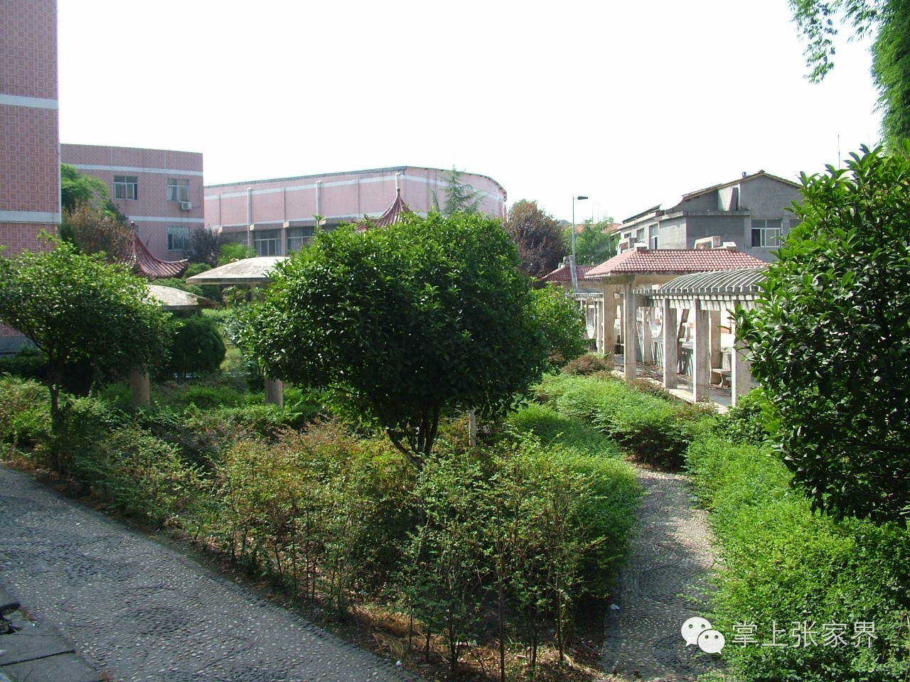 天门中学：花香自有果硕时