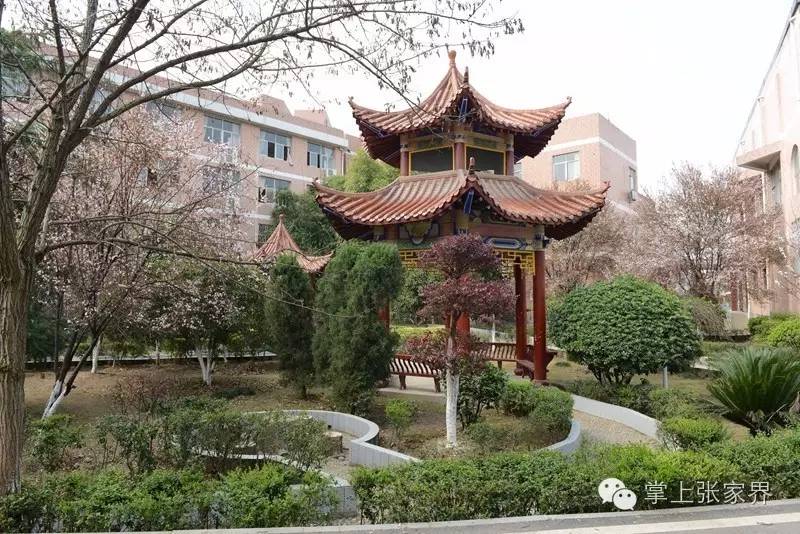 天门中学：花香自有果硕时