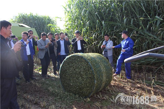 甘肅省機(jī)械科學(xué)研究院:青貯飼料收獲機(jī)行業(yè)的一匹黑馬