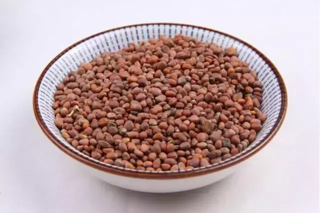 莱菔子的作用和功效（萝卜种子莱菔子专治各种消化不良）