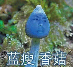 蓝瘦香菇什么意思(“蓝瘦香菇”一夜爆红，原来是这个意思！)