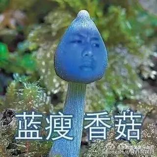 藍瘦香菇,藍瘦香菇是什么意思?