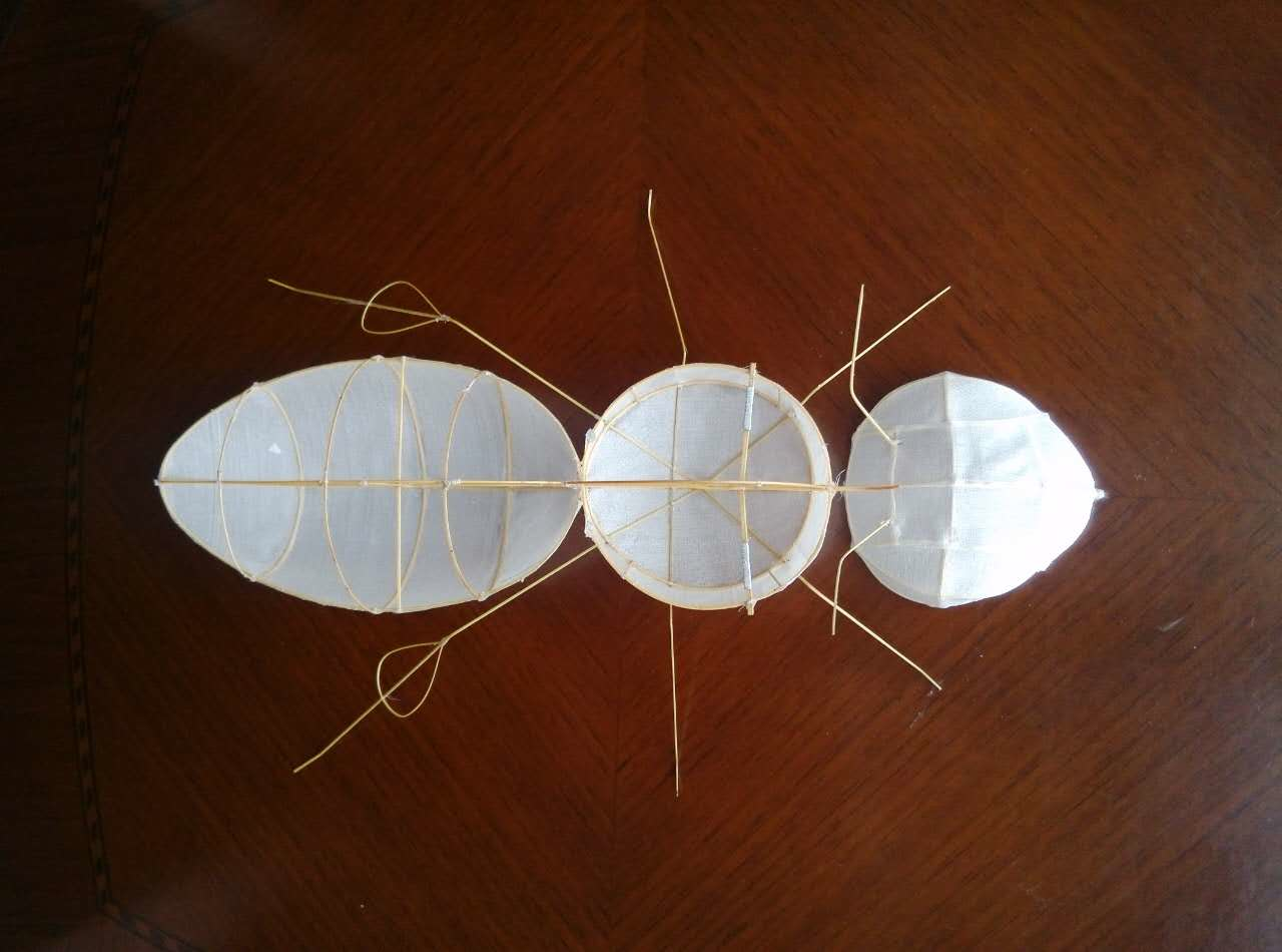 3D软翅风筝制作过程