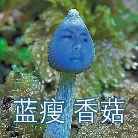 蓝瘦香菇表情包