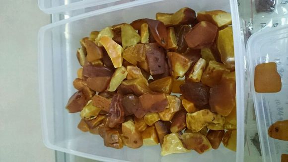 俄罗斯又发现蜜蜡矿，而且都是大块头