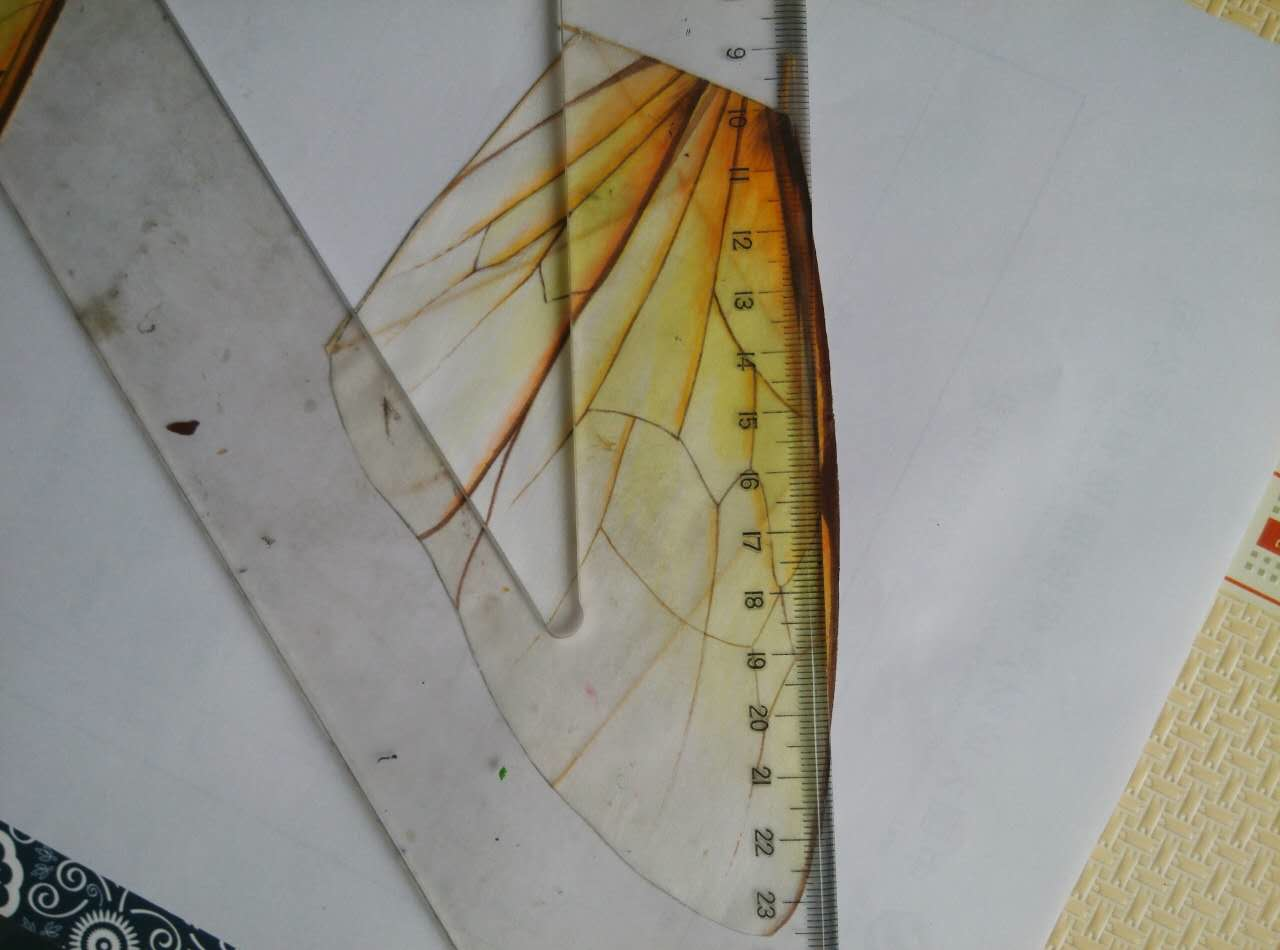 3D软翅风筝制作过程