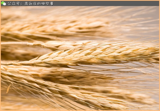 吃五谷降血脂，清洁血液降压