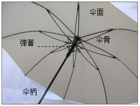 雨伞结构（雨伞的主体结构以及纵剖面图分享）