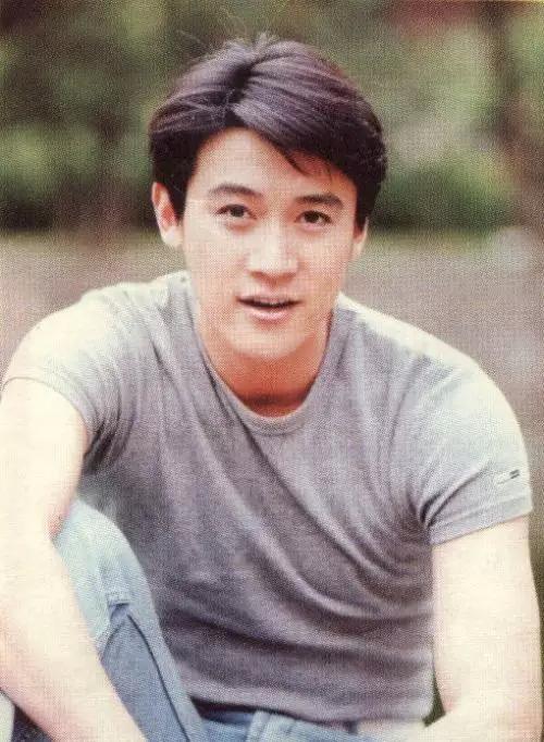 娱乐圈的8大“海岩男郎”，年轻时个个丰神俊朗，气宇不凡