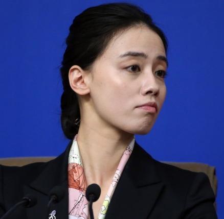 我国外交部“四大女神”：神仙颜值、内外兼修，堪称祖国“门面”